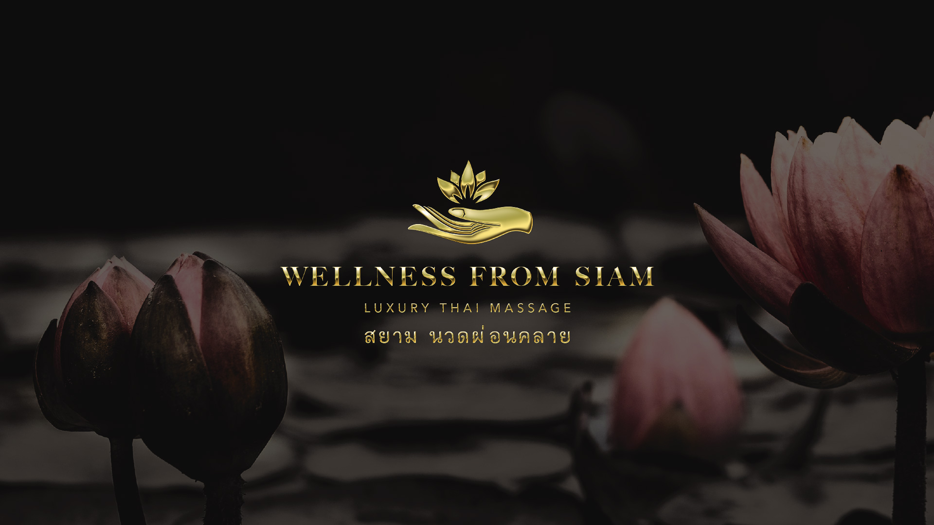 Wellness from Siam